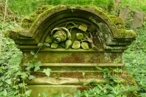 ein Grabstein über den von unten das Efeu hochwächst und oben von Moos bedeckt ist, in der Mitte des Steins ist eine Rose mit Stiel und Blättern eingemeiselt